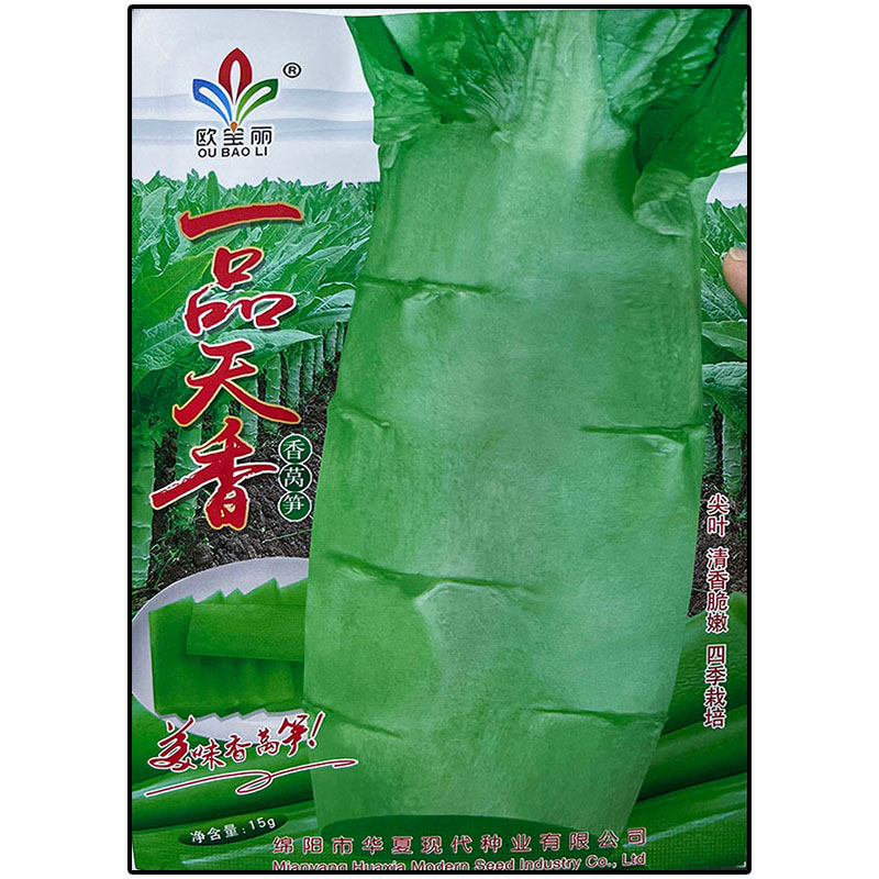 一品天香四季耐热耐寒莴笋种子孑