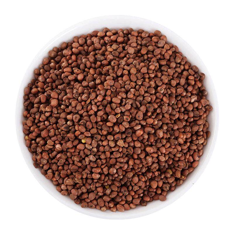 炒莱菔子10g 国药集团冯了性中药饮片批发小包装中国中药材抓配