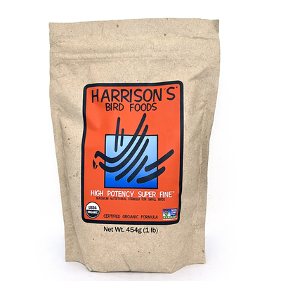 美国Harrison's哈里森鹦鹉