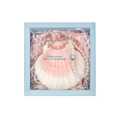 创意贝壳手帐本文艺海风贝壳本