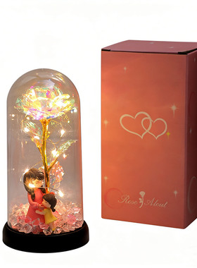 永生玫瑰花小夜灯母亲节送妈妈