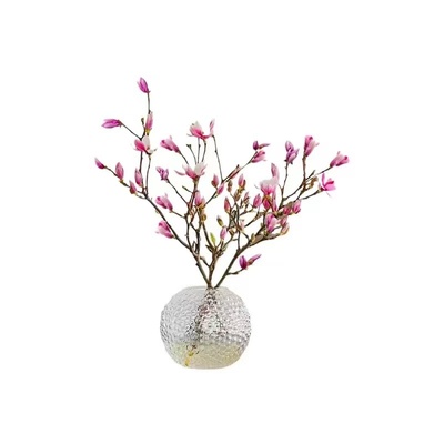 【带花苞发货】四季好养桌面植物