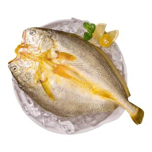 【自】三都港醇香黄鱼鲞 三去海鱼海鲜新鲜水产免杀洗大黄鱼7条