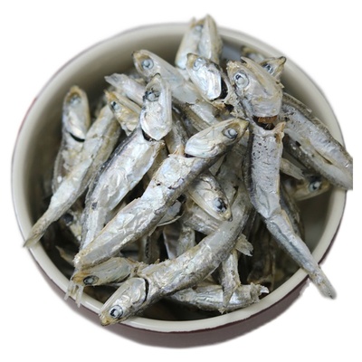 煮汤专用大号鳀鱼海燕鱼烟台