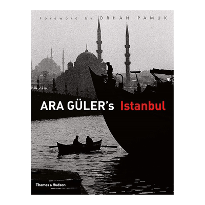 阿拉居莱尔的伊斯坦布AraGül