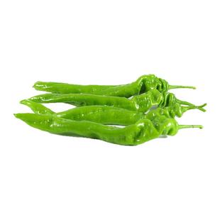 香辣螺丝椒苗秧苗高产大果陇椒苗薄皮正宗特辣苗四季阳台盆栽菜苗