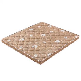 床垫硬垫子护腰天然椰棕榈薄款1米5乳胶偏软不塌陷儿童折叠可定制