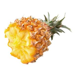 稀！桃萤津选 椰香手撕菠萝 冲绳Bogor同源 台湾剥粒凤梨 礼盒 SF