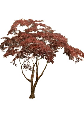 仿真绿植大型假树红枫枫叶造景