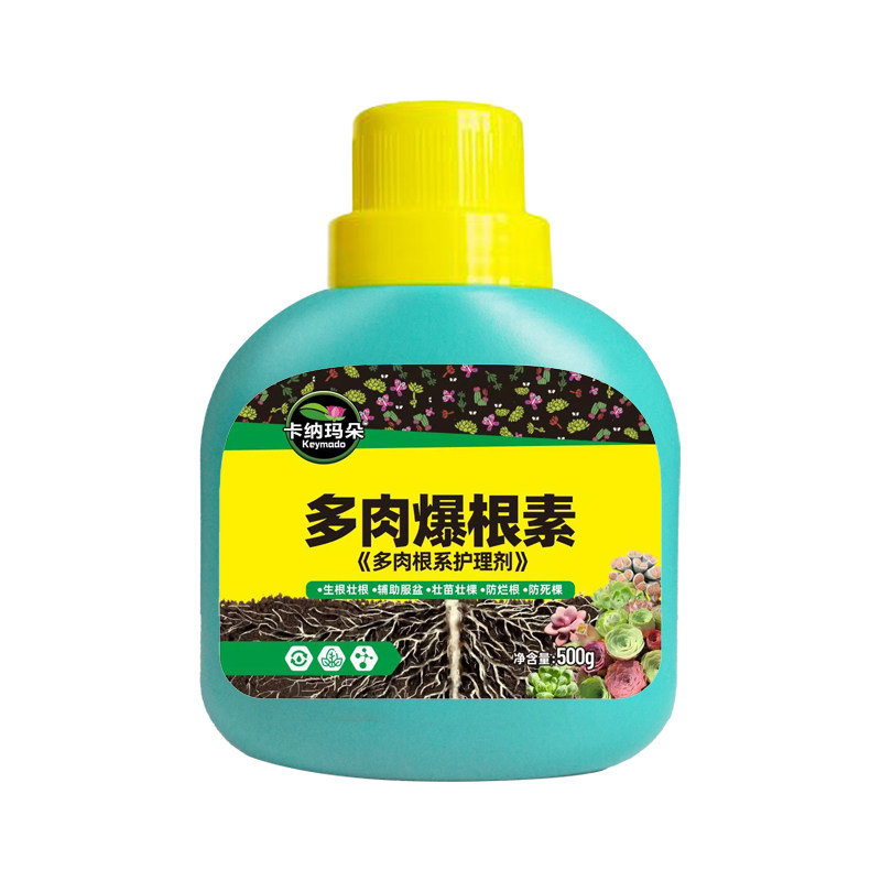 卡纳玛朵多肉爆根素生根壮根