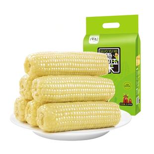 析芮东北有机白糯玉米黄糯玉米棒新鲜真空软糯粘香甜玉米代餐苞米
