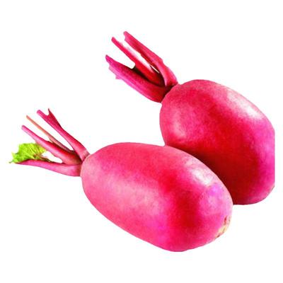 四川蔬菜种子红皮白心