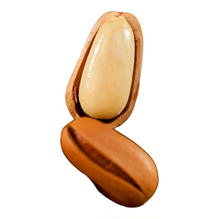 东北松子王2025新货特大颗粒级开口红松子500g手剥坚果官方旗舰店