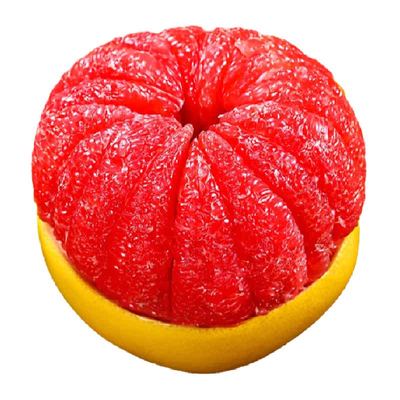 新鲜福建红心蜜柚大果