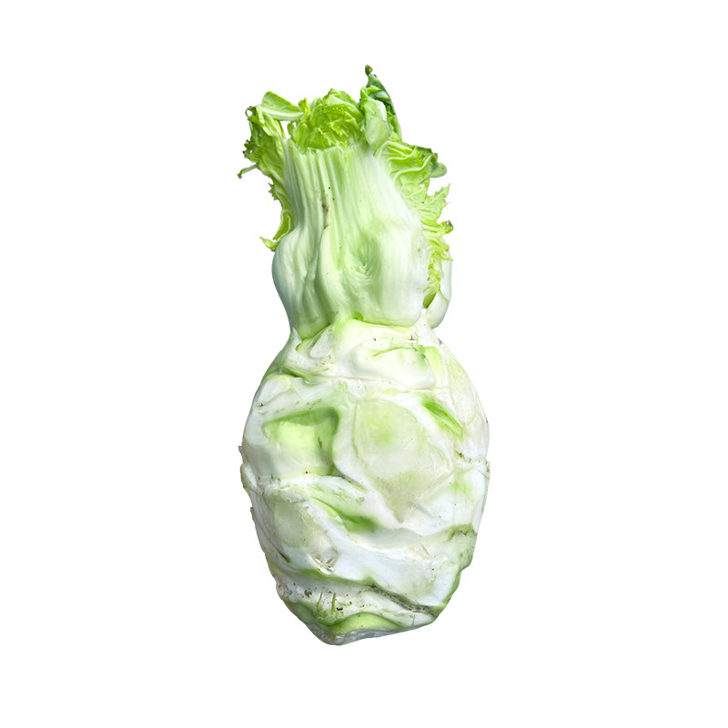 四川罐儿菜种子芥菜种籽子青菜头四季种植秋后秋季蔬菜籽种孑大全