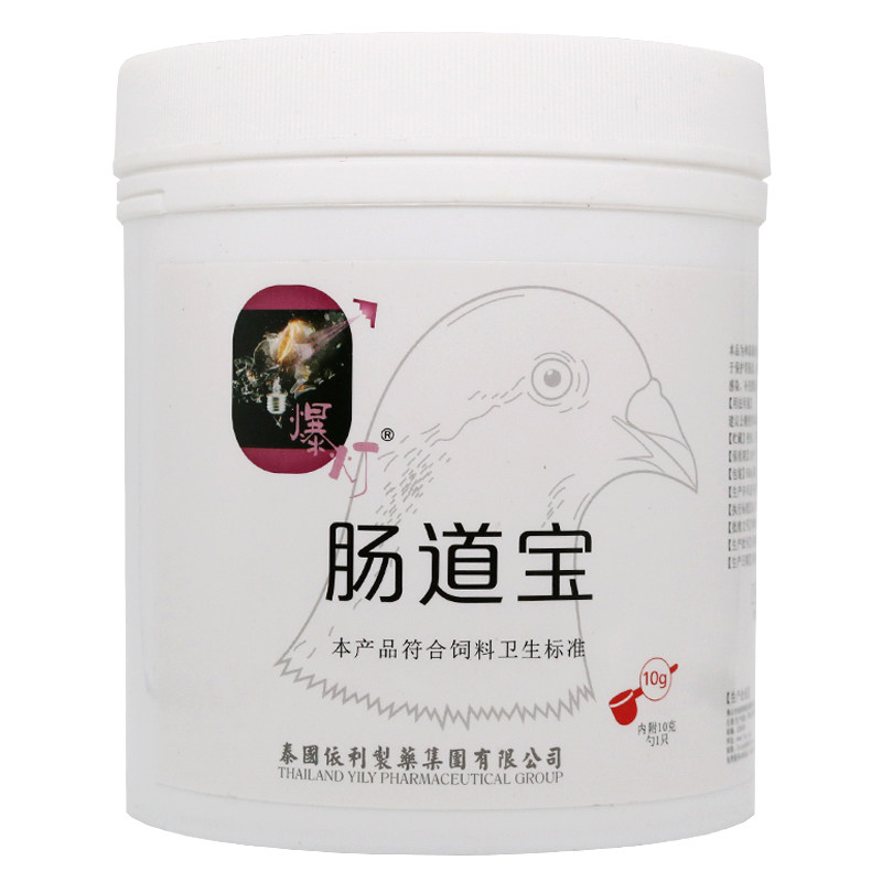 啤酒酵母肠道宝鸽子药爆灯