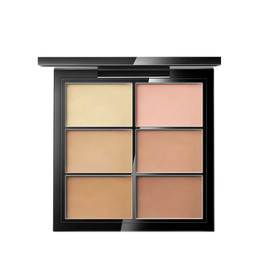 ZFC六色遮瑕膏修容持久控油裸妆遮盖脸部斑点痘痘印黑眼圈盘正品