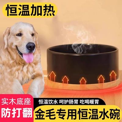 金毛专用狗狗保温水碗饮水器小狗冬天喝水温水器宠物加热恒温水盆