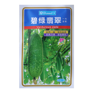 碧绿翡翠节瓜种子广良水果小冬瓜种子春秋夏季绿肉迷你小节瓜种籽