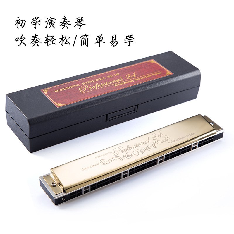 口琴24孔复音孔声初学者调课堂教学演奏C成人专业口琴学生演奏