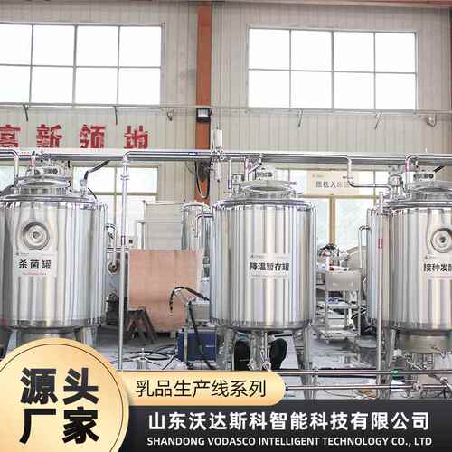 全自动奶酪块加工设备 乳酪奶豆腐生产线 小型奶酪生产机器