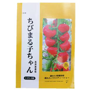 冰淇淋樱桃番茄苗种籽孑超甜红色圣女果种子花之大和甜禾之元种业