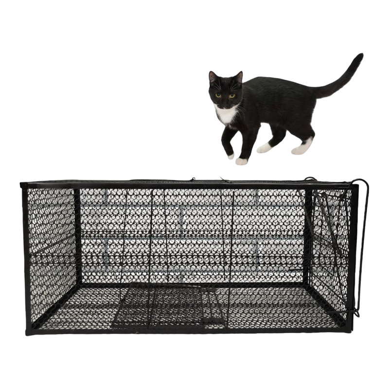 抓猫器笼爱心救助寻回捕猫