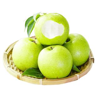 正宗砀山梨子翠冠梨当季水果新鲜9斤皮青梨皇酥梨整箱应香梨雪梨