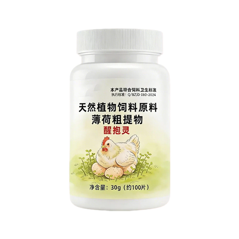 母鸡抱窝趴窝恋窝家禽通用