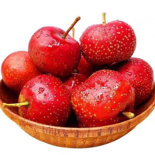 新鲜山楂果5斤山楂新鲜山楂果水果山里红铁山楂冰糖葫芦山楂包邮