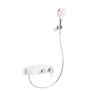 科勒花洒套装淋浴器家用挂墙式混水阀冷热水龙头浴缸花洒36522T