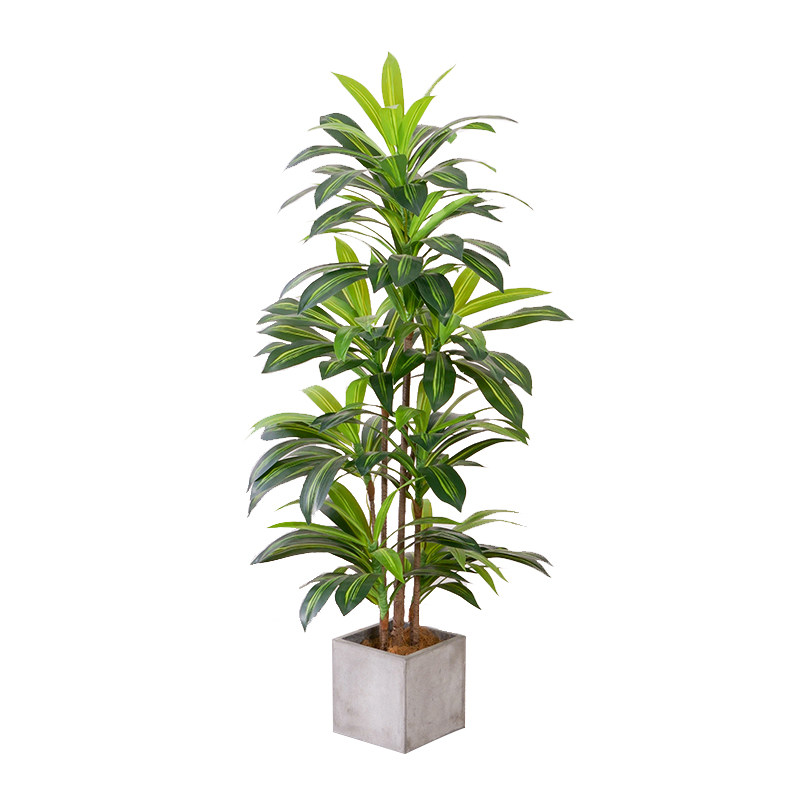 北欧仿真绿植巴西木盆栽落地室内