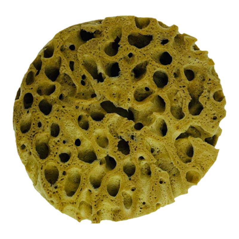 希腊进口老天然海藻绵蜂窝海藻棉三色珠光金银幻彩艺术漆印花工具