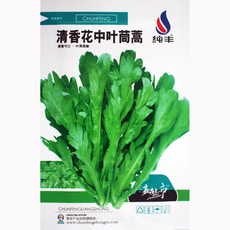 皇帝菜中叶茼蒿种子青菜种籽春菊菜种农家菜籽阳台籽种四季蔬菜孑