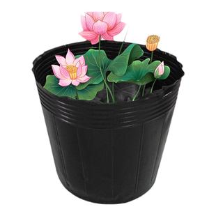 荷花盆加厚一次性黑色塑料无孔碗莲盆水生植物育苗盆睡莲盆营养钵