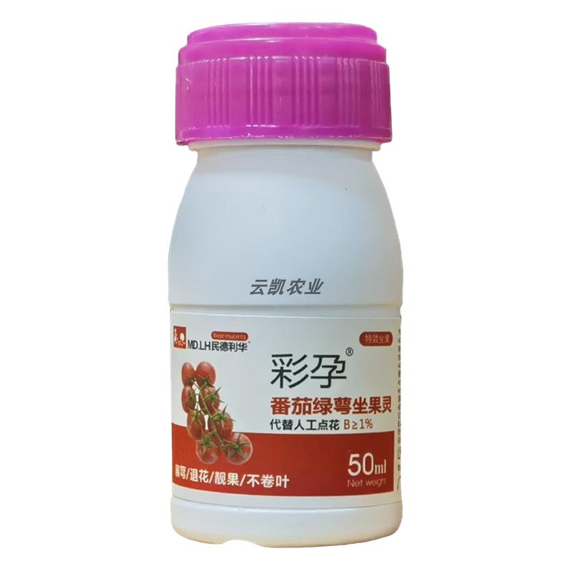 彩孕番茄授粉药厂家直销