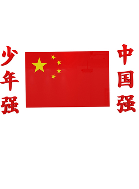 少年国旗搏击散打培训机构贴纸画