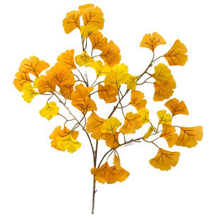仿真银杏树叶秋色叶黄色树叶假树叶多色可选过胶叶树木装饰枯树叶