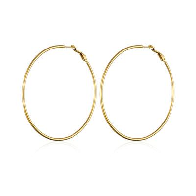 显脸小耳圈钛钢欧美不易掉色耳环