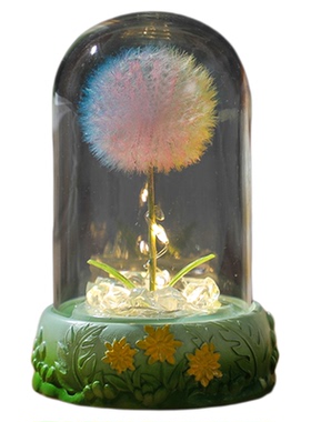 蒲公英永生干花束小夜灯