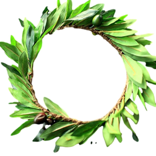 希腊女神仿真橄榄叶花环 浆果橄榄枝头饰摄影度假旅游配饰包邮