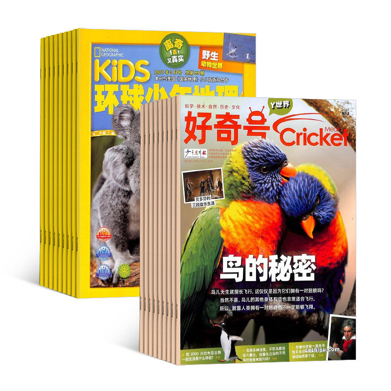 好奇号+环球少年地理杂志组合