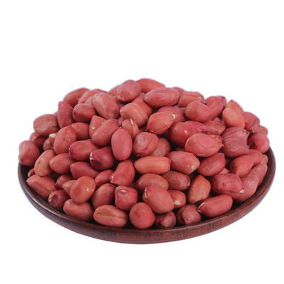 新货500g无添加烘焙熟红皮花生米