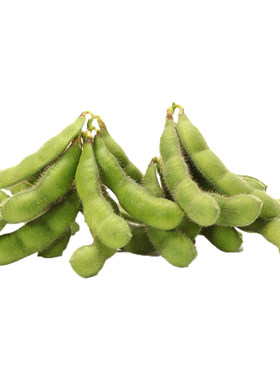 新鲜现摘毛豆5斤农家角当季蔬菜