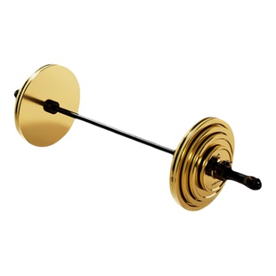 HEAD海德杠铃片奥杆组合套装卧推大孔硬拉全套一整套20kg家用电镀