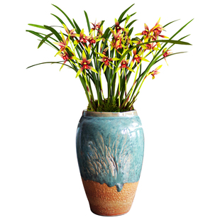 夏带花苞出售兰花苗建兰四季兰 小国魂 浓香四溢室内花卉盆栽好养