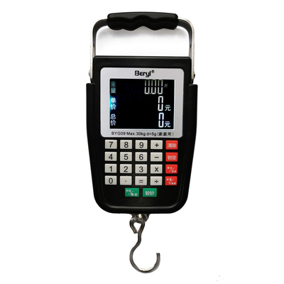 带语音计价充电手提秤快递专用