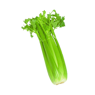 皇后芹菜种子法国CLSUE公司西芹种孑籽大田种籽四季春夏秋香原罐
