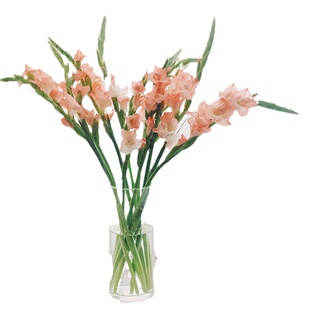 胜利之花| 云南直发剑兰 唐菖蒲 金鱼草 紫罗兰 马蹄莲鲜花 顺丰