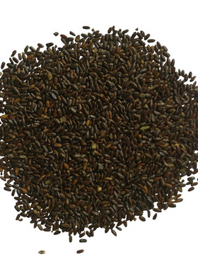 薰衣草种子狭叶普罗旺斯花种籽子四季种驱蚊香草阳台庭院开花耐寒